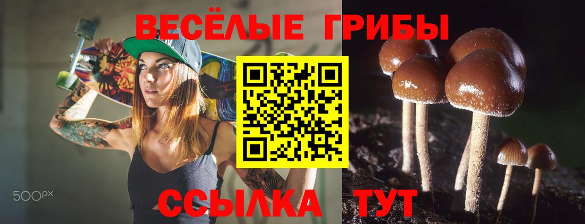 Псилоцибиновые грибы прущие грибы  Псилоцибиновые грибы прущие грибы  Королёв  Вход с VPN 